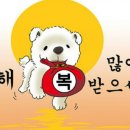 도꼬돈카츠 이미지