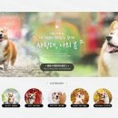 푸른디자인 - 북구 동운로 112 | 푸른디자인