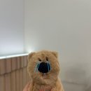 인형뽑기# 이미지