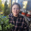 우드버닝 이미지