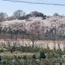 행복도서관 | [진주 정촌면] ‘정촌행복드림센터 강주 책다방’ 이용후기/정촌 도서관 추천