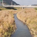 정읍박물관 ㅡ내장호 야영장 이미지