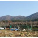 삼귀농장 네이버블로그