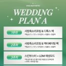 비브에스테틱