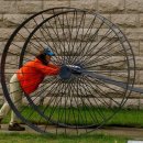 미라지모텔 이미지