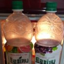 그날과일