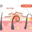 란헤어 네이버블로그