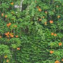 희망대공원 물놀이장-1 이미지