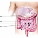 소장 이미지