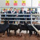 함양흑염소 이미지