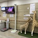 장유뉴욕치과병원 | 김해 장유 아기 진료 잘 보는 소아청소년과 갑을 장유 병원