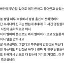 D00143 이미지