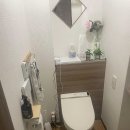 코레마 이미지