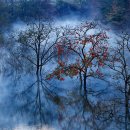 백운동 정원 이미지