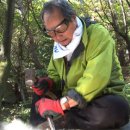 코리아헌터 이미지