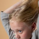 히스토바이오 이미지