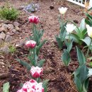 감사한농장 이미지