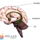 서정고가 밑 | 학습 기억 능력에 도움을 주는 뉴로피드백 훈련; 고양뇌파, 일산뇌파,화정뇌파, 삼송뇌파