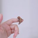 햄동대장