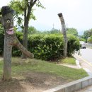 낙안읍성 관광안내소 네이버블로그