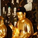 진주 월명암 목조아미타여래좌상 이미지