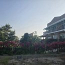 정우펜션 이미지