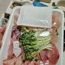 해도수산포차 네이버블로그