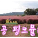 화원유원지 주유소 이미지