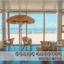 파도바 바다풍경 이미지