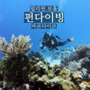 바론 | 보홀 발리카삭 펀다이빙 바론다이브 후기(비용, 숙소)