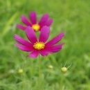 월운리 마을회관 이미지