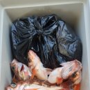 포항시남구장기면양포보건진료소 Daum카페