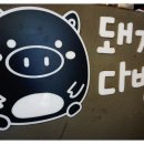 돼지다방 - 포천시 화동로1043번길 2-5 | 돼지다방