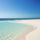 (주)진보건설디앤씨 | 📚 문학시리즈-신동엽 시인의 일생과 대표시 "껍데기는 가라" 연 별 분석