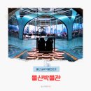 터틀이발소 - 서귀포시 동부로 23 | 울산박물관 아이랑 가볼만한곳 실감영상 체험