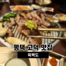 평택대광교회 주변 | 평택 고덕 맛집 육백도 함박산 흑돼지 연탄구이
