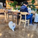어반식당 이미지