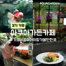 아쿠아가든카페 양재점 | 가평 비올때 아이랑 가볼 만한 곳 아쿠아가든카페 할인 방문 후기