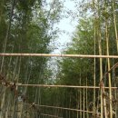 은혜행정사사무소 이미지