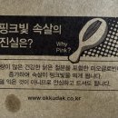 핑크빛 속살의 진실은? 이미지