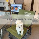 팜스토리 | 청도 “팜 스토리” 애견동반 글램핑, 강아지 운동장 구비!🫶🏻