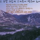 (주)위슬러