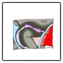 경희설백한의원 이미지