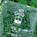 네일숲 이미지