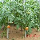 영석농장 이미지