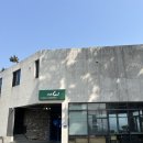 대만족신평점 | [카페솔 부산기장] 부산 봄나들이 코스 추천 신평소공원 수선화 보고 들르기 좋은 기장 카페솔 테라스 뷰