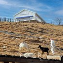 석영목장 이미지