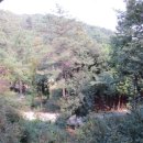 팰리스텔 이미지