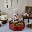 위닝푸드 이미지