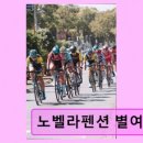 노벨라 별여섯 네이버블로그